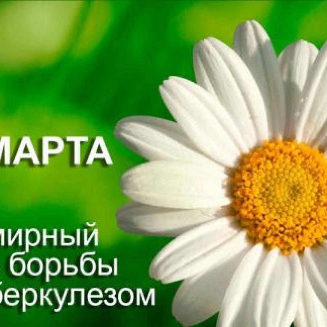 24 марта  Всемирный день борьбы с туберкулезом