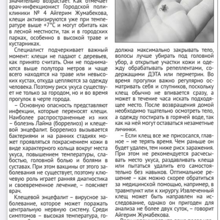 Сезон клещей