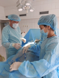 342541138 177045234839707 8801579858306346180 n