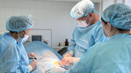 515443861 122178095966339823 8559621671602508109 n